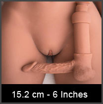 6 Inches penis